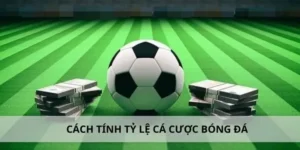 Tìm Hiểu Cá Cược Bóng Đá 789WIN: Hành Trình Giải Trí Đỉnh Cao