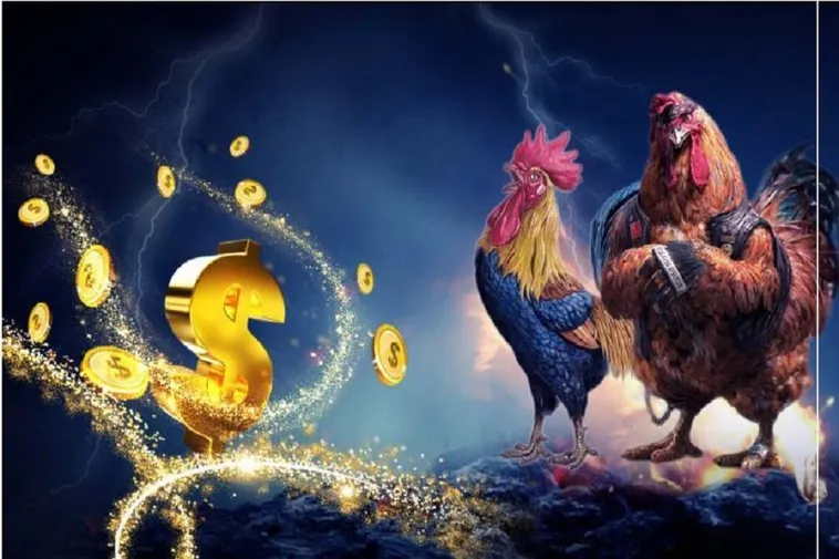 Hướng Dẫn Chơi Đá Gà WS168 Tại 789WIN Chi Tiết Nhất 2025
