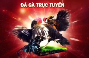 Hướng Dẫn Chơi Đá Gà 3D Tại 789WIN Một Cách Chi Tiết Nhất