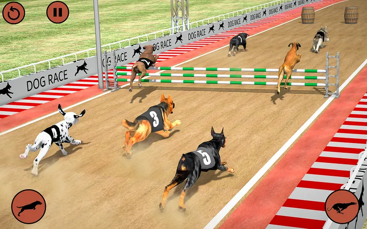 Hướng Dẫn Cách Chơi Game Nhanh Đua Chó Tại 789WIN Hiệu Quả Nhất 2 Hướng Dẫn Cách Chơi Game Nhanh Đua Chó Tại 789WIN Hiệu Quả Nhất