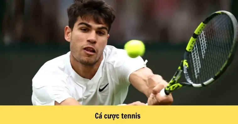 Tìm Hiểu Cá Cược Quần Vợt 789WIN: Hành Trình Đầy Kịch Tính