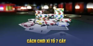 Khám Phá Trò Chơi Xì Tố Tại 789WIN: Hướng Dẫn Chi Tiết Và Bí Kíp Chơi Hiệu Quả